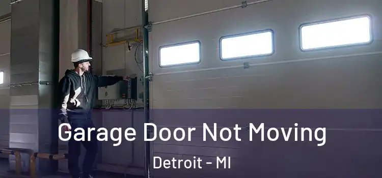  Garage Door Not Moving Detroit - MI