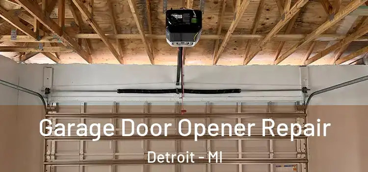  Garage Door Opener Repair Detroit - MI