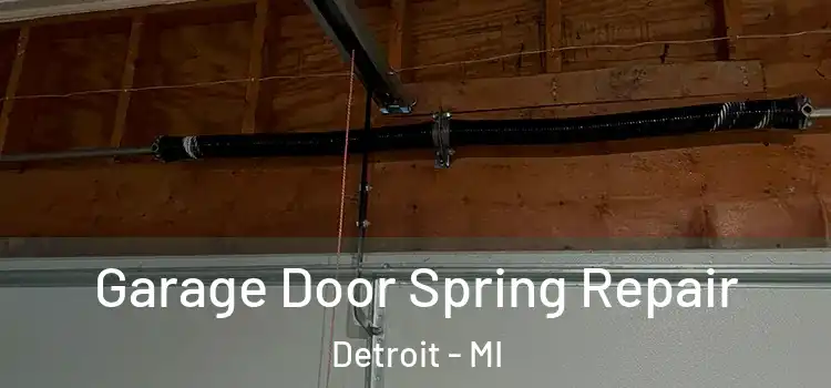  Garage Door Spring Repair Detroit - MI