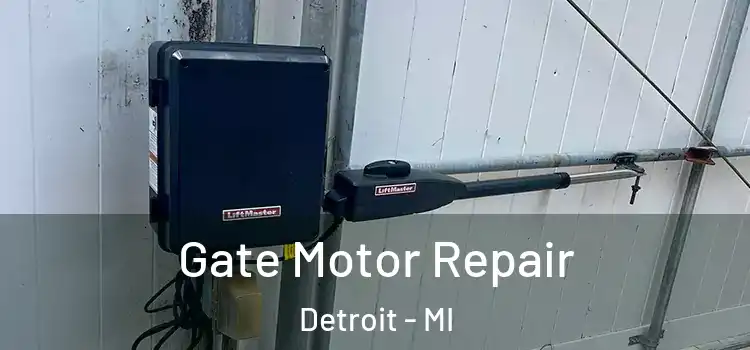 Gate Motor Repair Detroit - MI