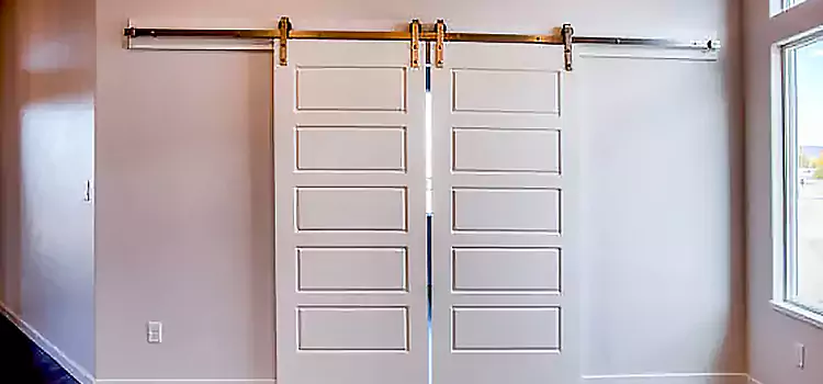 Glass Barn Door with Installation Hardware Kit Detroit
