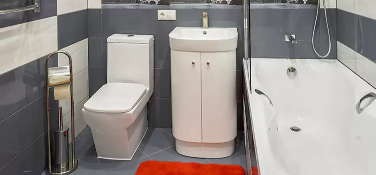 Hansgrohe Shaving Mirror Detroit