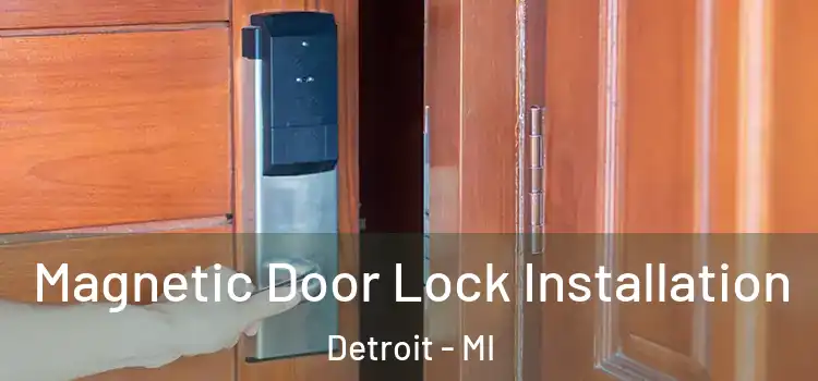  Magnetic Door Lock Installation Detroit - MI